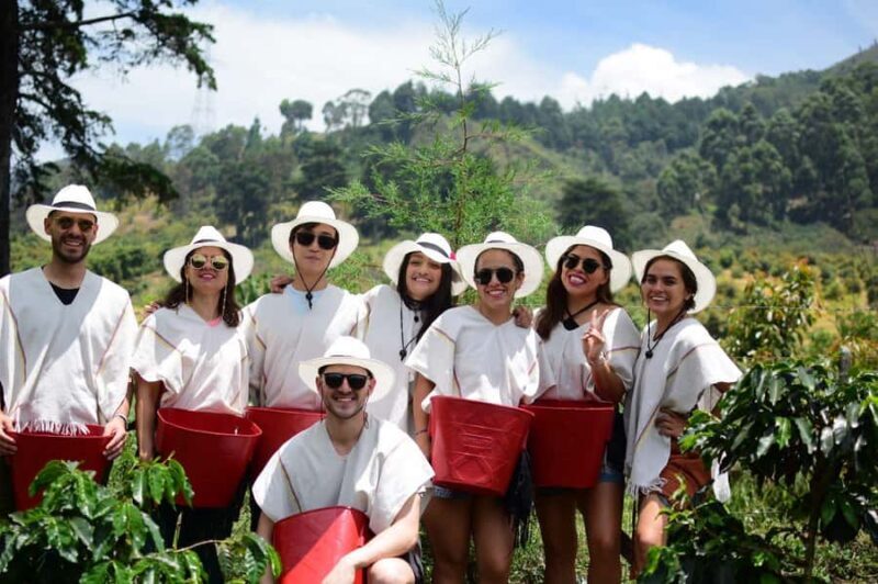 Medellín Coffee Farm Tour with Trolley and Cable Car Ride - Key Points