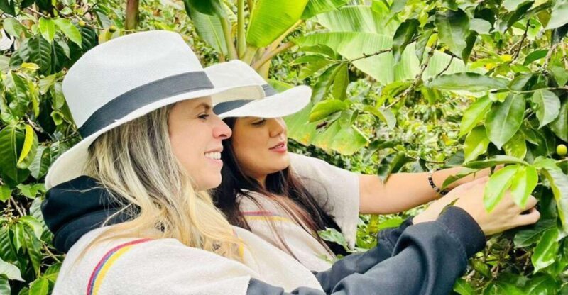 Medellín Coffee Farm Tour with Trolley and Cable Car Ride - Frequently Asked Questions (FAQs)