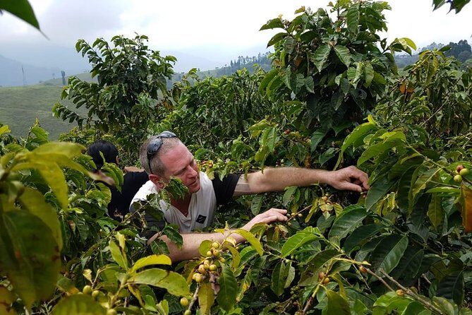 Medellin Coffee Tour - Authenticity and Authentic Experiences