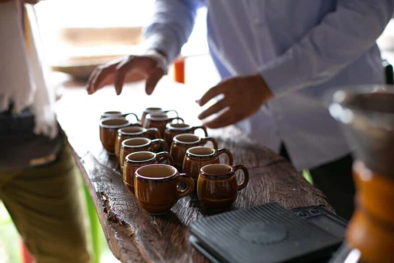 Medellin: Coffee Tour, Horseback Arrival, and Sugar Cane - Exploring Antioquia’s Coffee and Agriculture in Depth