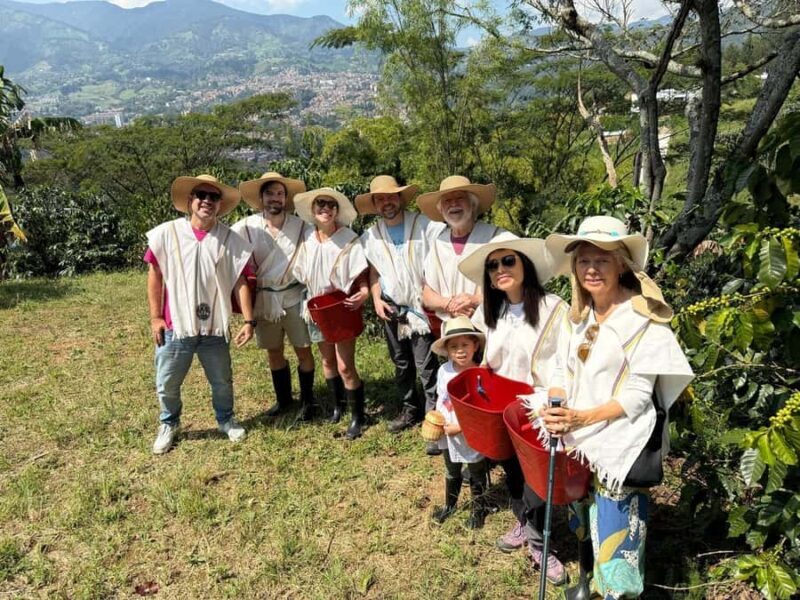 Medellín: Coffee Tour in the Mountains - An In-Depth Look at the Coffee Tour Experience
