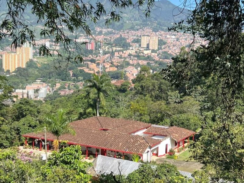 Medellín: Coffee Tour in the Mountains - Why This Tour Offers Real Value