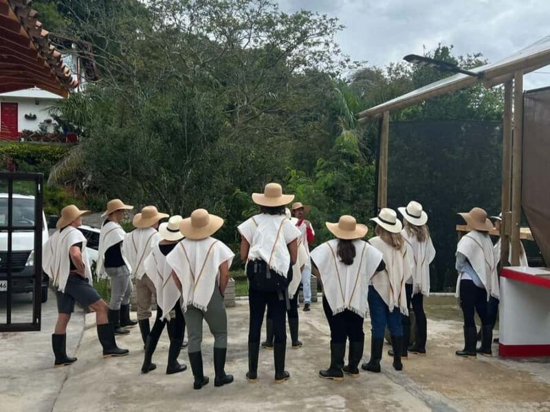 Medellín: Coffee Tour in the Mountains - Who Will Enjoy This Tour Most?