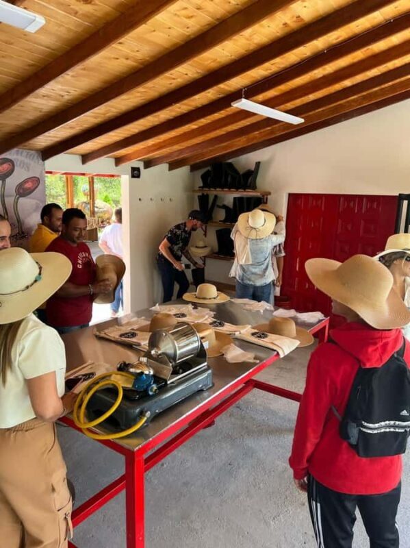 Medellín: Coffee Tour in the Mountains - Final Thoughts