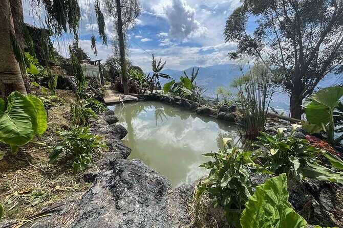 Medellin Coffee Tour & Spa - Key Points