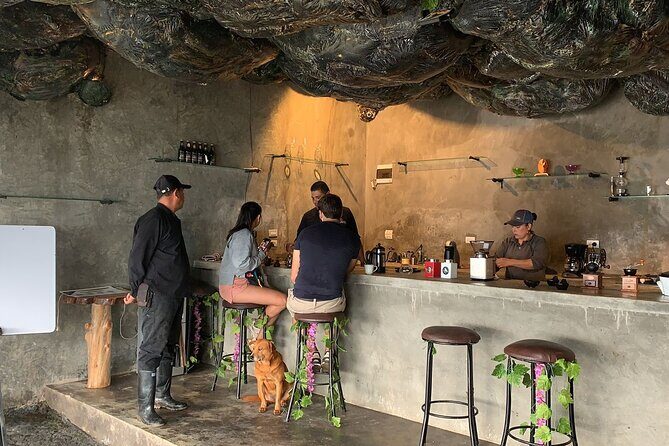 Medellin Coffee Tour & Spa - An In-Depth Look at the Medellín Coffee Tour & Spa