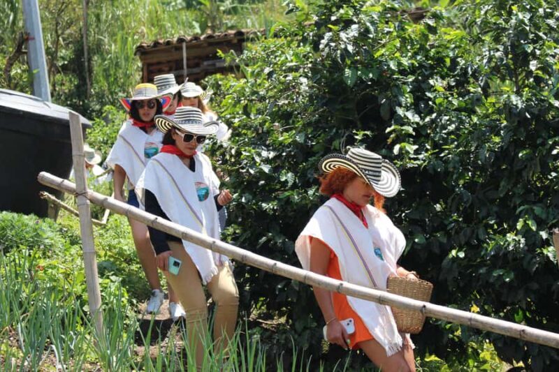 Medellin: Coffee Tour with Hotel Transfers and Meals - Key Points