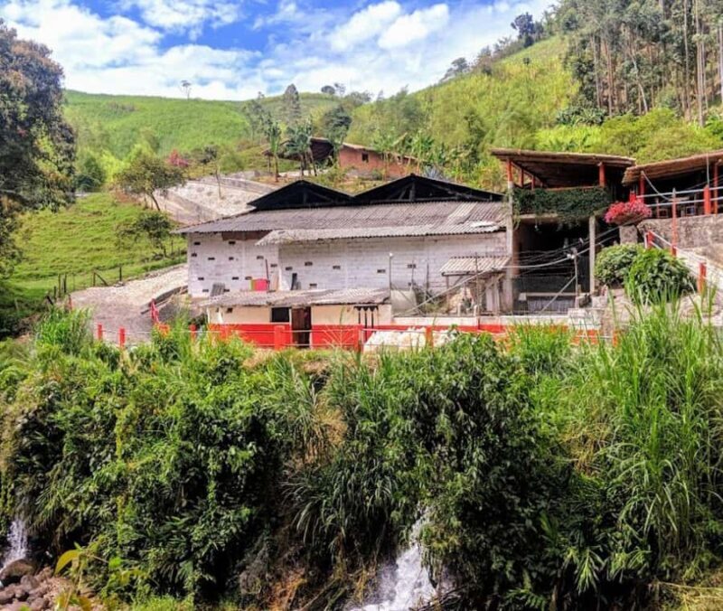 MEDELLIN: DAWN GARDEN TOUR WITH VISIT TO BETANIA - 2 DAYS AND 1 NIGHT - Exploring the Itinerary: What You Can Expect