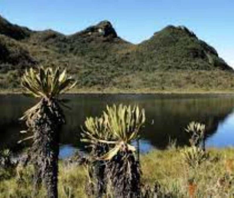 MEDELLIN: DAWN GARDEN TOUR WITH VISIT TO BETANIA - 2 DAYS AND 1 NIGHT - Frequently Asked Questions