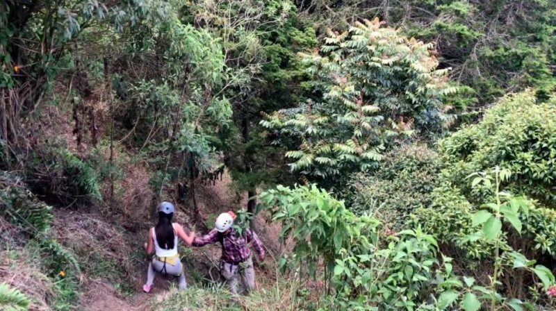 Medellin: Day Trip to Private Zipline and Waterfall Trek - Who Will Love This Tour?