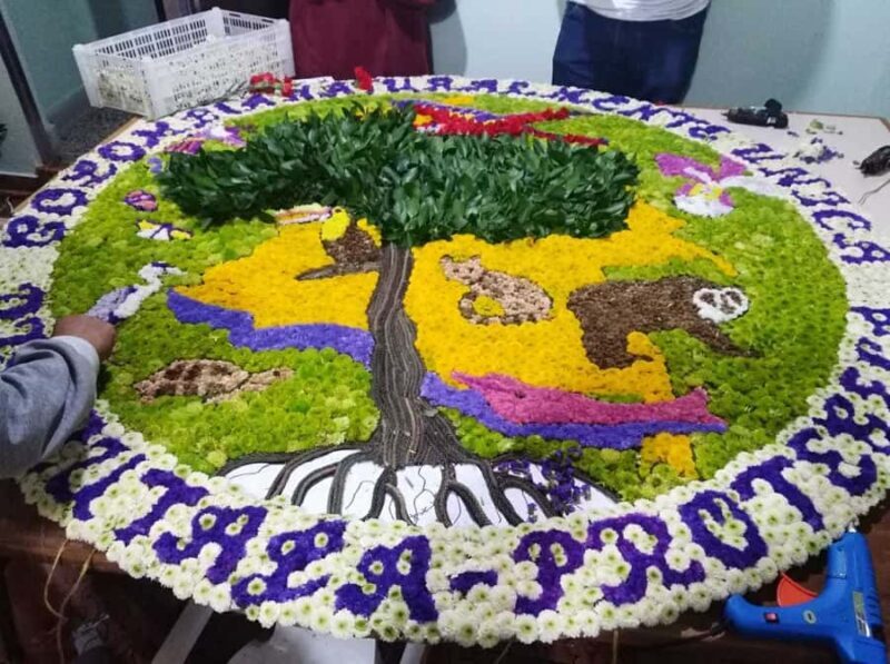 Medellín: Flower Farm & Silletero History Tour - The Sum Up