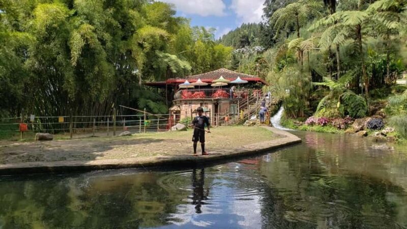 MEDELLIN: GARDEN TOUR + ANDES (PANORAMIC) + TROUT FARM - In-Depth Review of the Jardín Day Tour