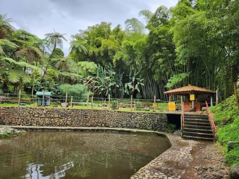 MEDELLIN: GARDEN TOUR + ANDES (PANORAMIC) + TROUT FARM - Final Thoughts