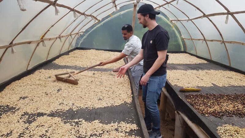 Medellin: Guatape, El Peñol Coffee Farm Private Tour & Fruit - Why This Tour Offers Great Value