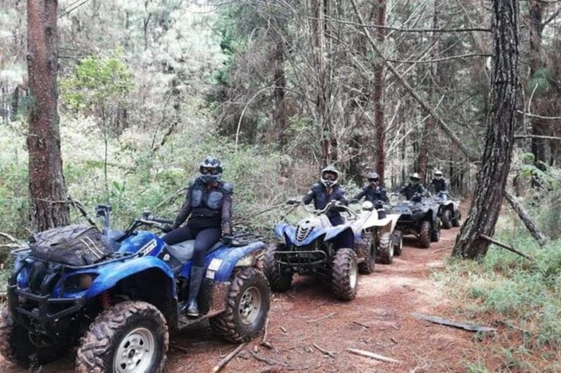 Medellin: Guided ATV Countryside Adventure - Analyzing the Value
