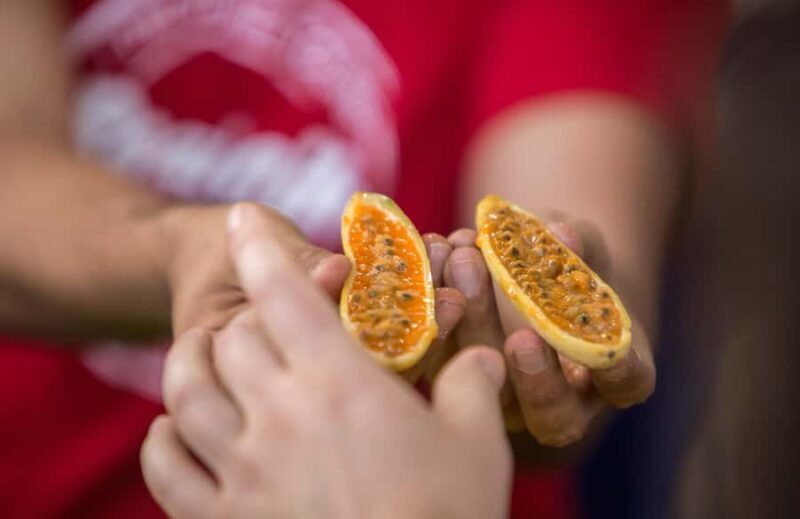 Medellín: Guided Exotic Fruits Tour - The Value Proposition