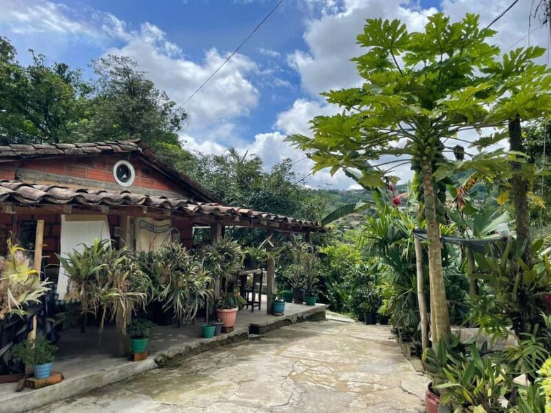 MEDELLÍN: HALF-DAY COFFEE TOUR AT LOCAL FAMILY FARM - Final Thoughts: Is It Worth It?