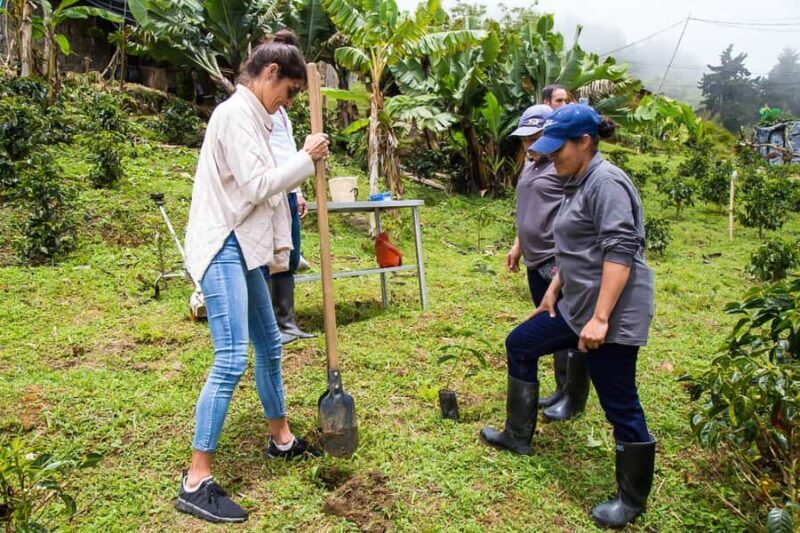 Medellin: Horseback Riding Coffee Farm Tour with Coffee Spa - What’s Included and What You Should Know