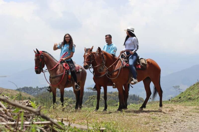 Medellin: Horseback Riding in the Medellin Mountains - Key Points