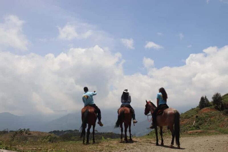Medellin: Horseback Riding in the Medellin Mountains - An In-Depth Look at the Medellin Mountain Horseback Tour
