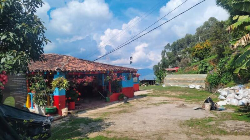 Medellin: Mountain Bike Coffee Farm Tour and Spa Experience - Who Is This Tour Best For?