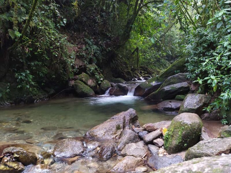 Medellín: Nature Experience & Waterfall-Hike - What’s Included and What to Bring