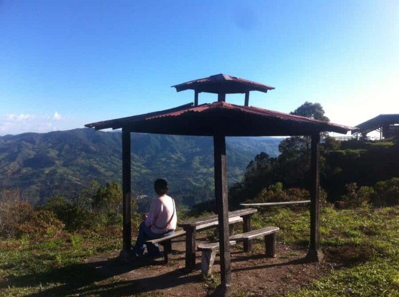 Medellin: Palmitas Coffee Tour - Key Points