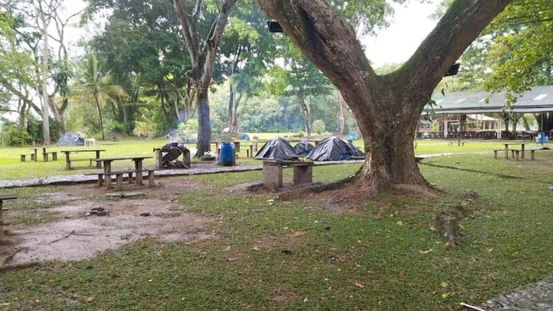 MEDELLIN: SAN JERONIMO TOUR + ECOPARQUE GAITERO + SWIMMING POOL - The Verdict: Who Should Consider This Tour?