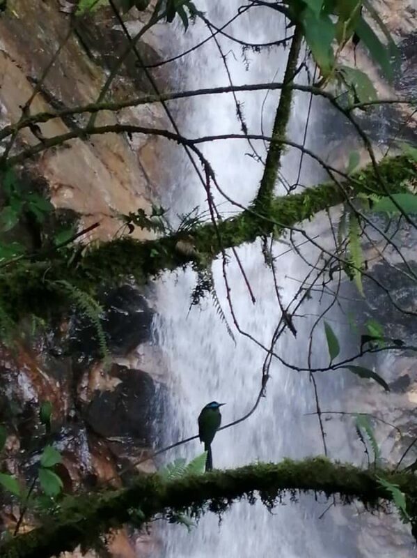 Medellín: Secret Waterfall Hike Tour with Snack and Coffee - FAQs