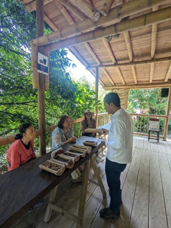 Medellin to Fredonia for a Coffee Day Tour - Why This Tour Offers Great Value