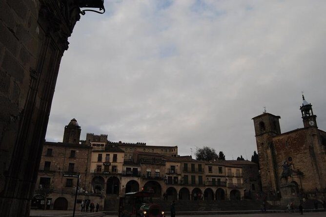 Medieval Castles, Wineries Experience with Tasting from Madrid - Key Points