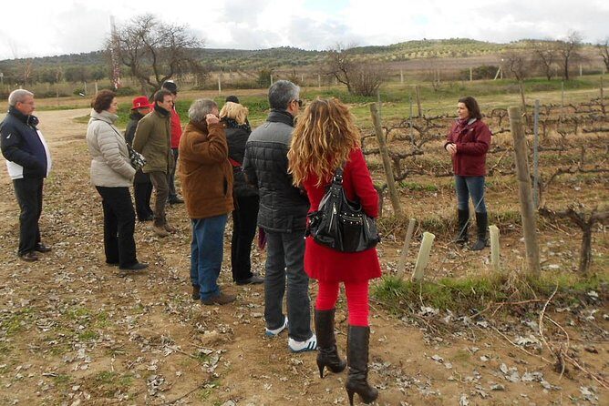 Medieval Castles, Wineries Experience with Tasting from Madrid - FAQs about the Medieval Castles, Wineries Experience