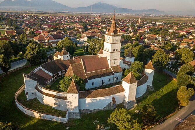 Medieval Transylvania Full-Day Private Tour from Brasov - Who Should Consider This Tour?