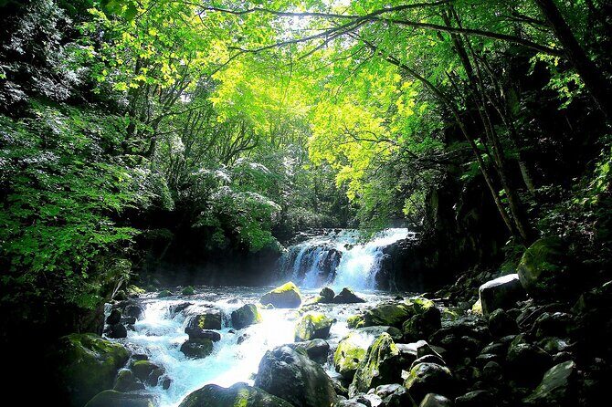 Meditation Experience in Nature with Primeval Forest and Springs - FAQ