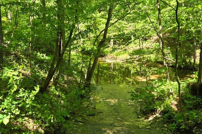 Meditative, Forest Bathing Hike followed by Yoga on the Deck - FAQ