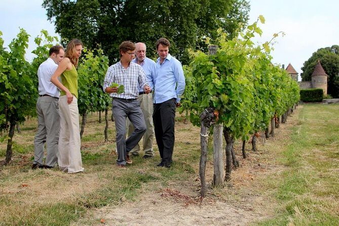 Medoc or Saint Emilion Wine Tasting and Chateau from Bordeaux - Key Points
