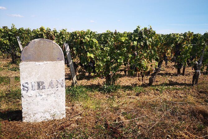 Medoc Region Wine Day Trip with Vineyard Visits & Tastings from Bordeaux - Final Thoughts