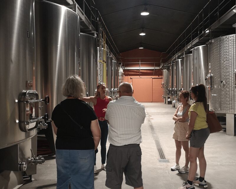 Médoc wine tour from Bordeaux: 2 wineries & 6 wines - A Deep Dive into the Médoc Wine Tour Experience