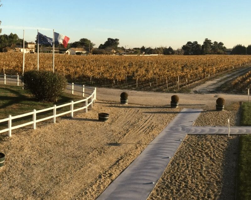 Médoc wine tour from Bordeaux: 2 wineries & 6 wines - Practical Considerations and Value