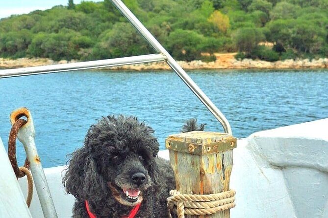 Medulin: Private Sunset Boat Cruise with Wine Tasting - The Sum Up
