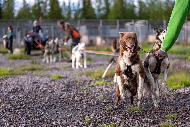 Meet 70 Huskies and Enjoy a short ATV Tour with the Huskies - FAQ
