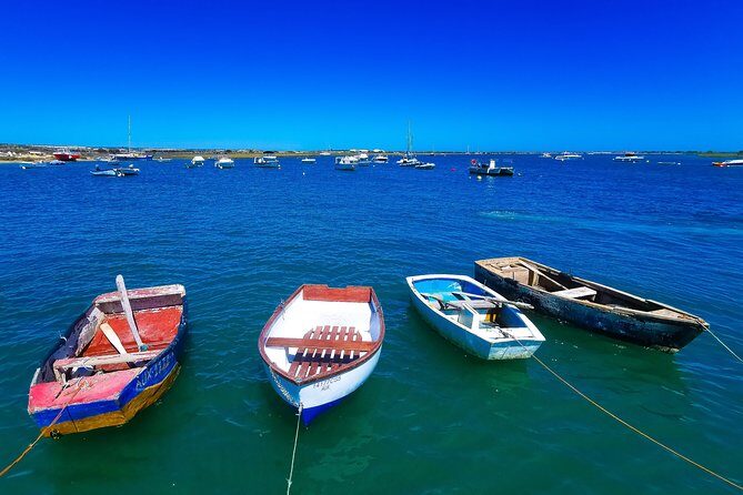 Meet Santa Luzia / Capital do Polvo / Salinas in a 100% electric Tuk Tuk - What Travelers Say