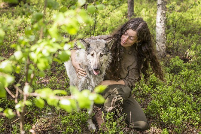 Meet Taivas & the Arctic Wolves - Private Tour - Meet Taivas & the Arctic Wolves - Private Tour: A Genuine Encounter with Finnish Wilderness