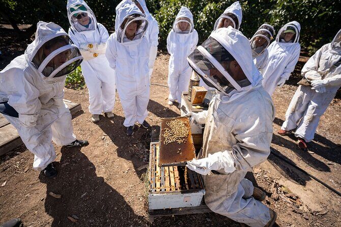 Meet the Bees Guided Apiary Tour and Honey Tasting - An Authentic Look at Beekeeping in Santa Barbara