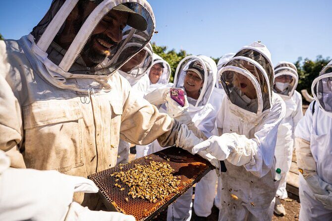 Meet the Bees Guided Apiary Tour and Honey Tasting - Who Should Book This Tour?