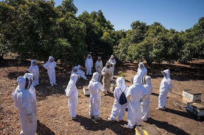 Meet the Bees Guided Apiary Tour and Honey Tasting - Frequently Asked Questions