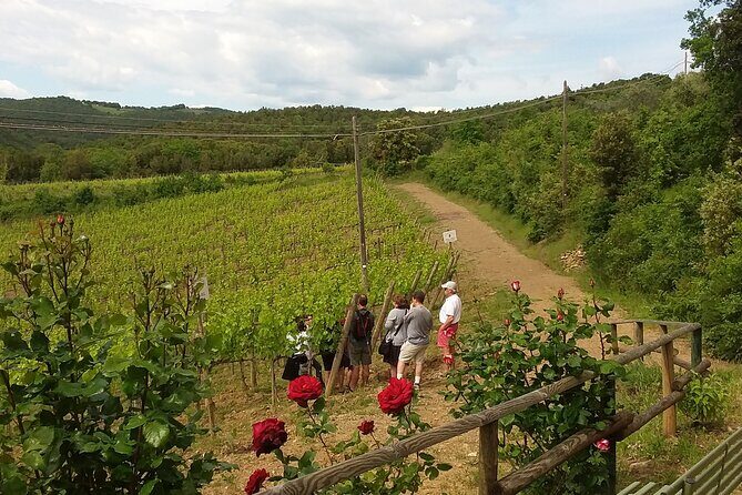 Meet the king of the territory: Brunello di Montalcino - An Honest, In-Depth Look at the Brunello di Montalcino Tour