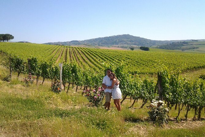 Meet the king of the territory: Brunello di Montalcino - Who Will Benefit Most from This Tour?