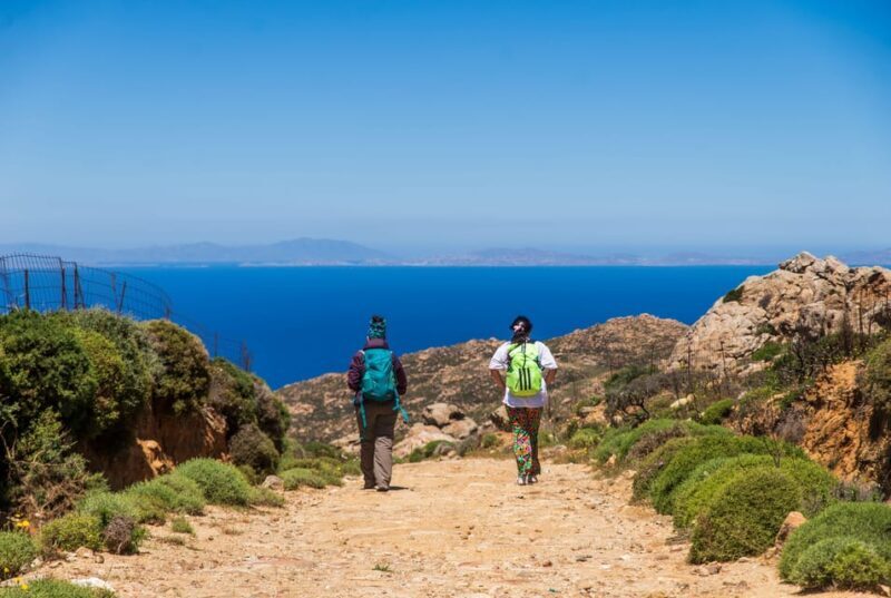 Meet the trees in Cyclades Hiking (Small group experience) - Practical Details: What to Expect