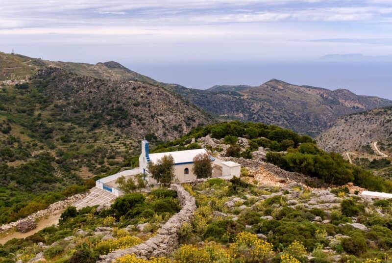 Meet the trees in Cyclades Hiking (Small group experience) - Authentic Experiences and Reviews